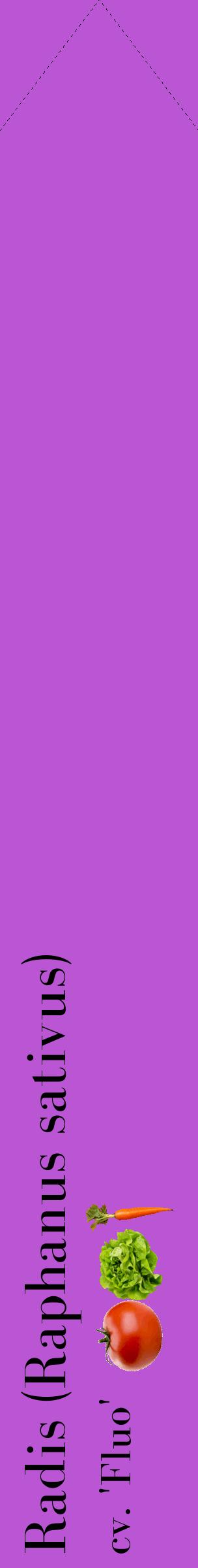 Étiquette de : Raphanus sativus cv. 'Fluo' - format c - style noire50_simplebod avec comestibilité simplifiée