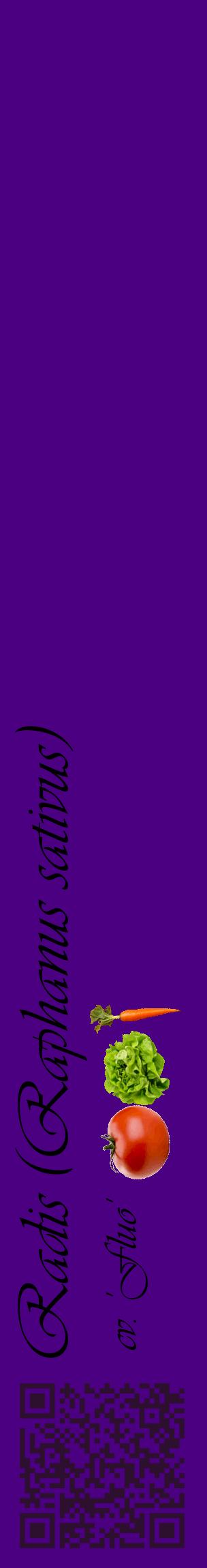 Étiquette de : Raphanus sativus cv. 'Fluo' - format c - style noire47_basiqueviv avec qrcode et comestibilité simplifiée