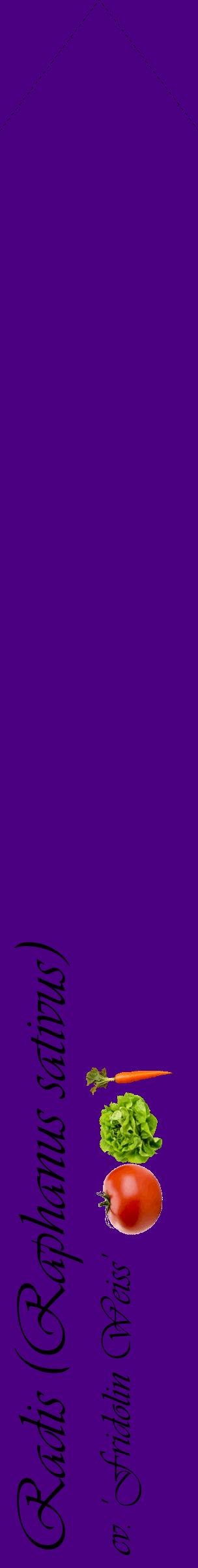 Étiquette de : Raphanus sativus cv. 'Fridolin Weiss' - format c - style noire47_simpleviv avec comestibilité simplifiée