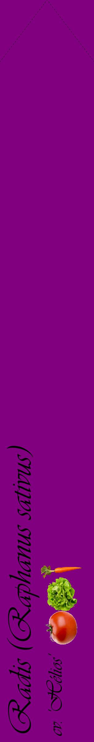 Étiquette de : Raphanus sativus cv. 'Hélios' - format c - style noire46_simpleviv avec comestibilité simplifiée
