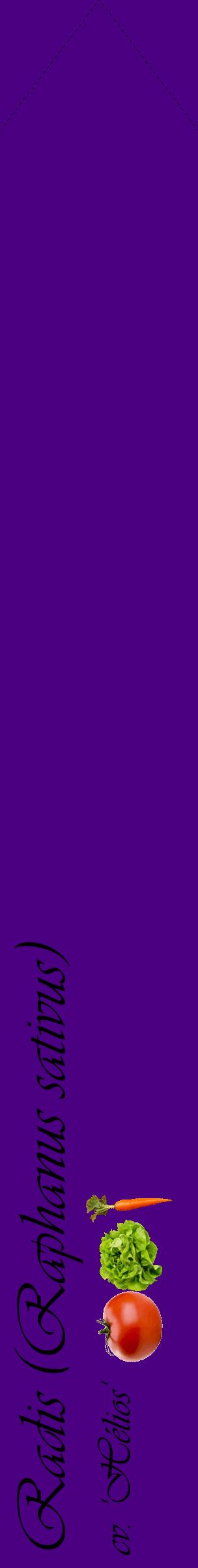 Étiquette de : Raphanus sativus cv. 'Hélios' - format c - style noire47_simpleviv avec comestibilité simplifiée
