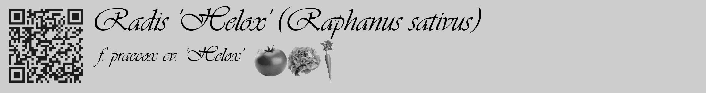 Étiquette de : Raphanus sativus f. praecox cv. 'Helox' - format c - style noire41_basique_basiqueviv avec qrcode et comestibilité simplifiée