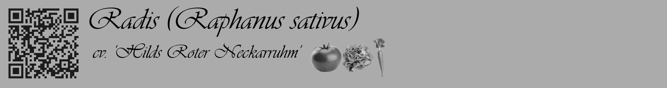 Étiquette de : Raphanus sativus cv. 'Hilds Roter Neckarruhm' - format c - style noire37_basique_basiqueviv avec qrcode et comestibilité simplifiée