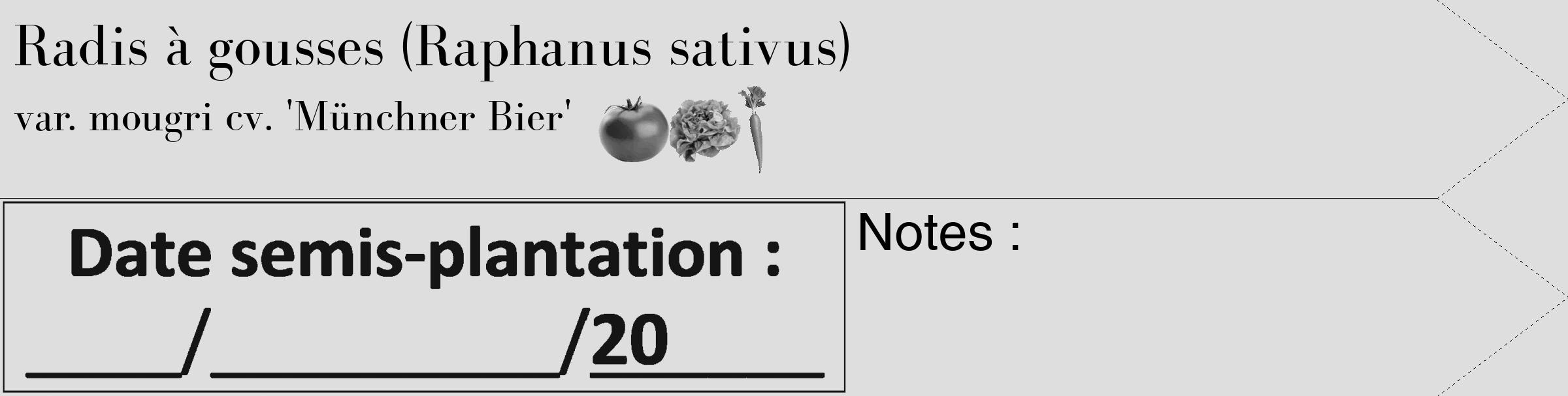 Étiquette de : Raphanus sativus var. mougri cv. 'Münchner Bier' - format c - style noire20_simple_simplebod avec comestibilité simplifiée
