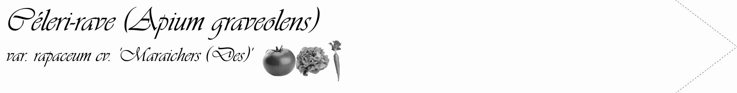 Étiquette de : Apium graveolens var. rapaceum cv. 'Maraichers (Des)' - format c - style noire19_simple_simpleviv avec comestibilité simplifiée