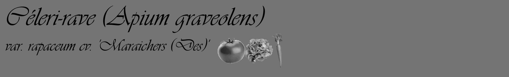 Étiquette de : Apium graveolens var. rapaceum cv. 'Maraichers (Des)' - format c - style noire26_basique_basiqueviv avec comestibilité simplifiée