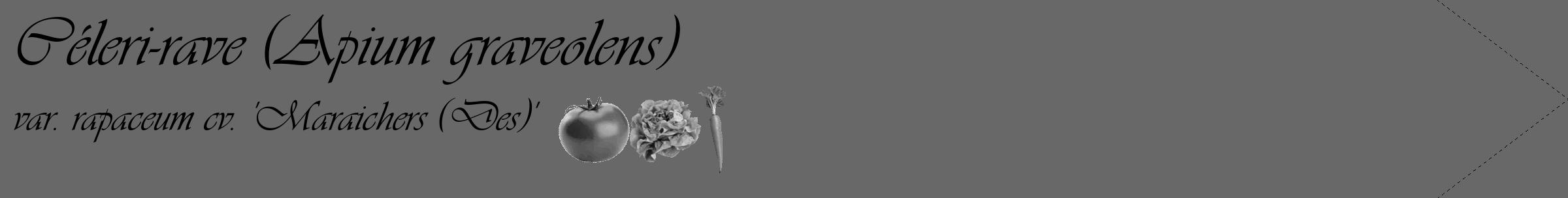 Étiquette de : Apium graveolens var. rapaceum cv. 'Maraichers (Des)' - format c - style noire43_simple_simpleviv avec comestibilité simplifiée
