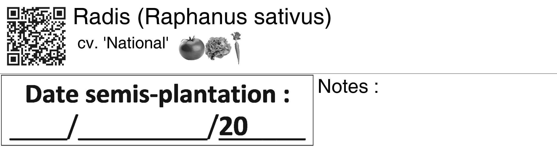 Étiquette de : Raphanus sativus cv. 'National' - format c - style noire60_basiquegrrvhel avec qrcode et comestibilité simplifiée