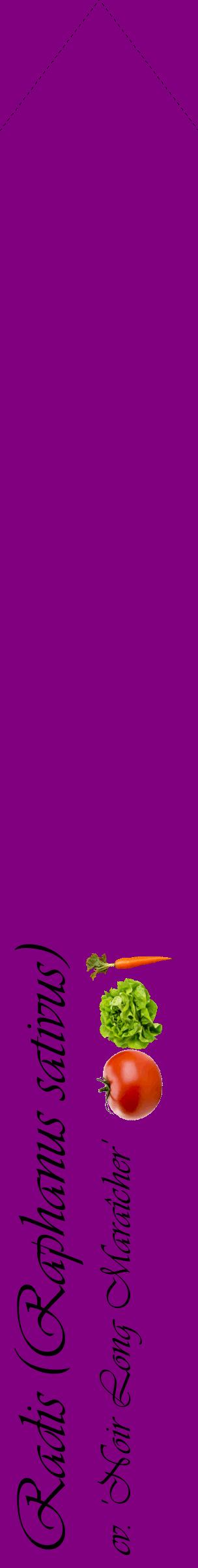 Étiquette de : Raphanus sativus cv. 'Noir Long Maraîcher' - format c - style noire46_simpleviv avec comestibilité simplifiée