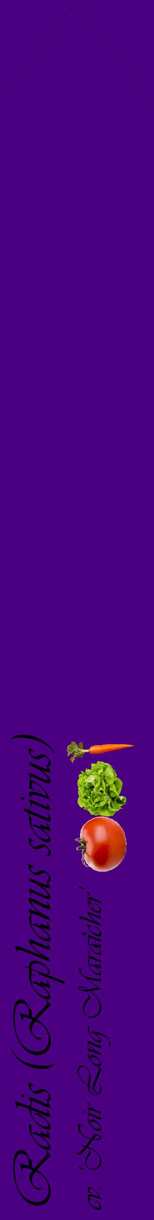 Étiquette de : Raphanus sativus cv. 'Noir Long Maraîcher' - format c - style noire47_simpleviv avec comestibilité simplifiée