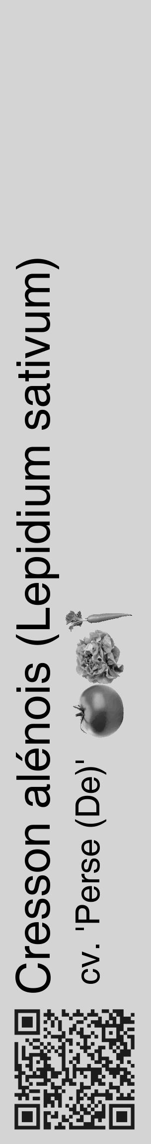 Étiquette de : Lepidium sativum cv. 'Perse (De)' - format c - style noire40_basique_basiquehel avec qrcode et comestibilité simplifiée - position verticale