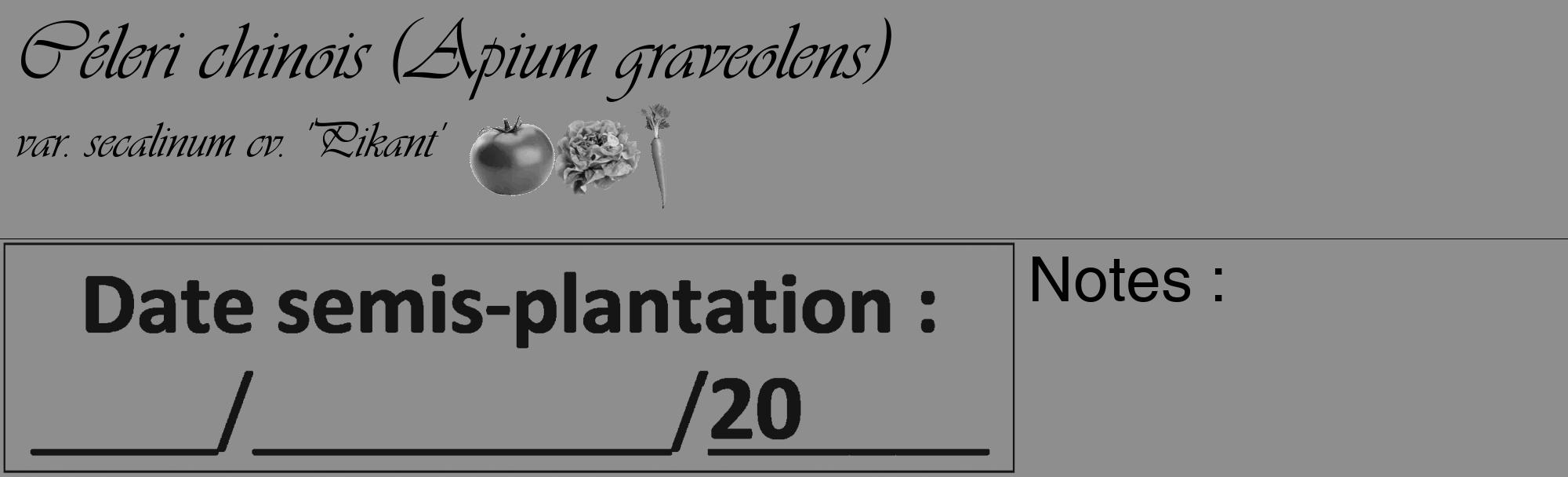 Étiquette de : Apium graveolens var. secalinum cv. 'Pikant' - format c - style noire25_basique_basiqueviv avec comestibilité simplifiée