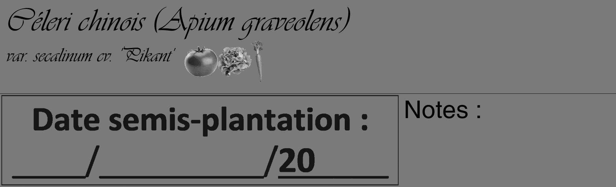 Étiquette de : Apium graveolens var. secalinum cv. 'Pikant' - format c - style noire3_basique_basiqueviv avec comestibilité simplifiée