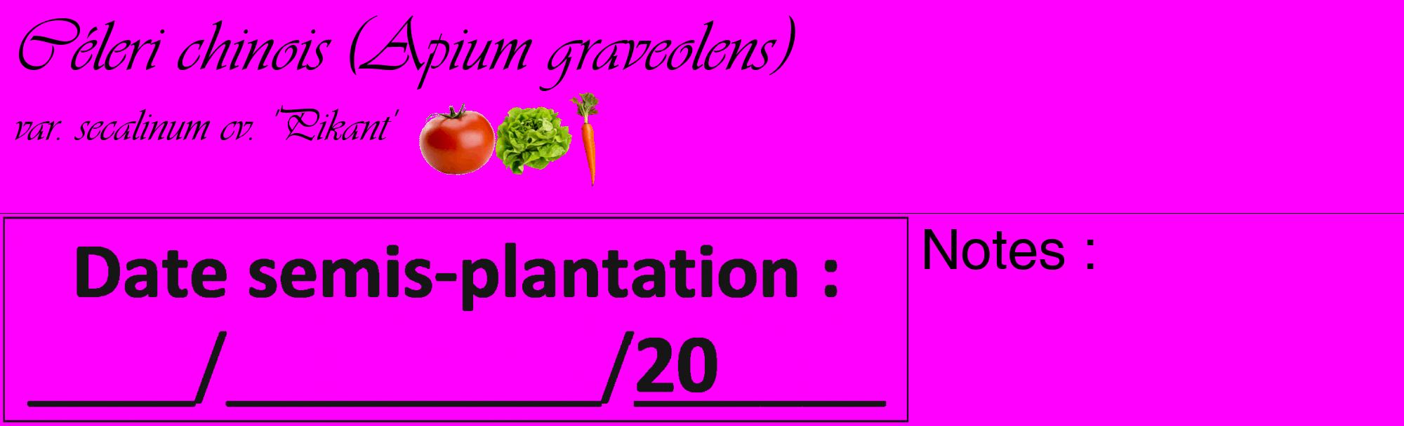 Étiquette de : Apium graveolens var. secalinum cv. 'Pikant' - format c - style noire51_basique_basiqueviv avec comestibilité simplifiée