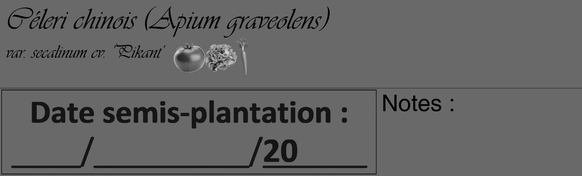 Étiquette de : Apium graveolens var. secalinum cv. 'Pikant' - format c - style noire51_basique_basiqueviv avec comestibilité simplifiée