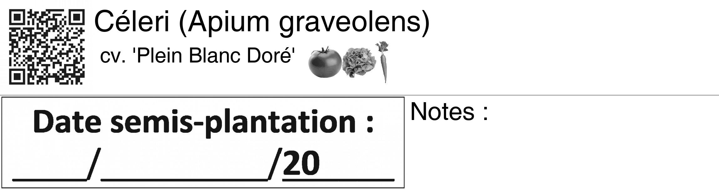Étiquette de : Apium graveolens cv. 'Plein Blanc Doré' - format c - style noire60_basiquegrrvhel avec qrcode et comestibilité simplifiée