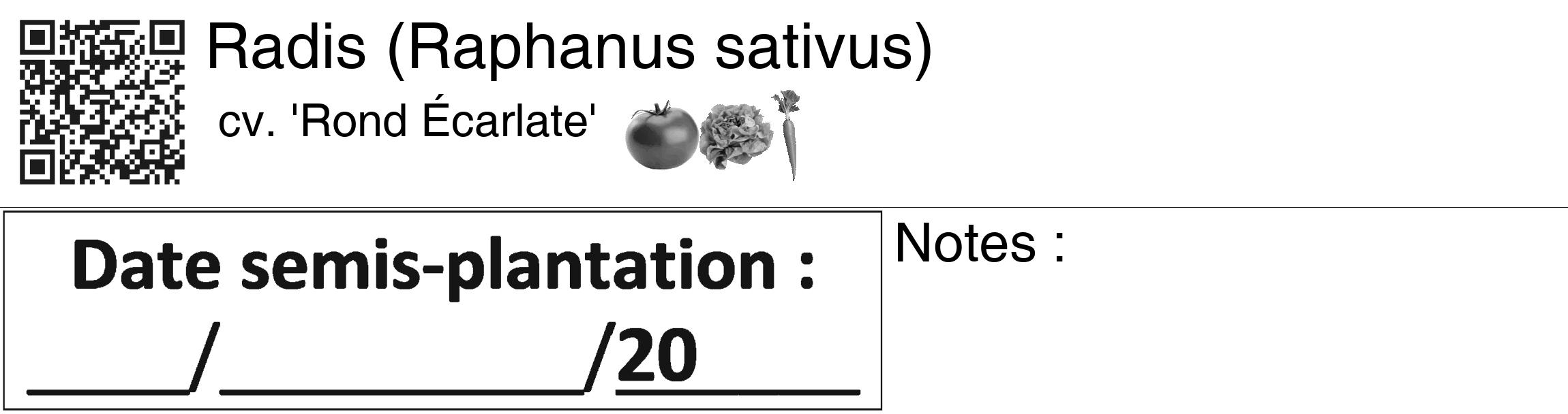 Étiquette de : Raphanus sativus cv. 'Rond Écarlate' - format c - style noire60_basiquegrrvhel avec qrcode et comestibilité simplifiée
