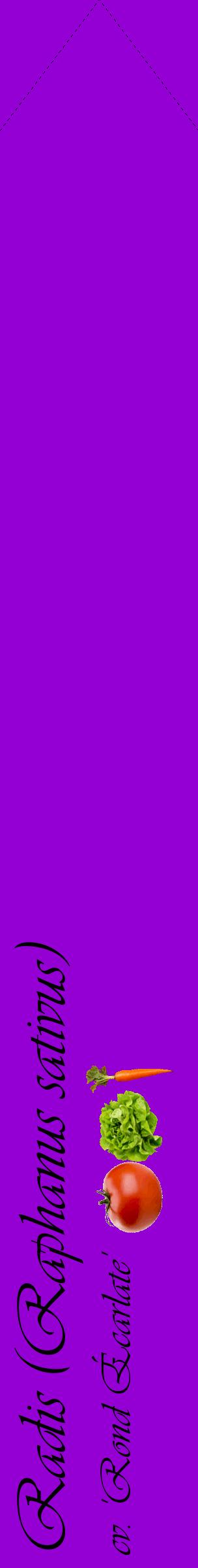 Étiquette de : Raphanus sativus cv. 'Rond Écarlate' - format c - style noire48_simpleviv avec comestibilité simplifiée