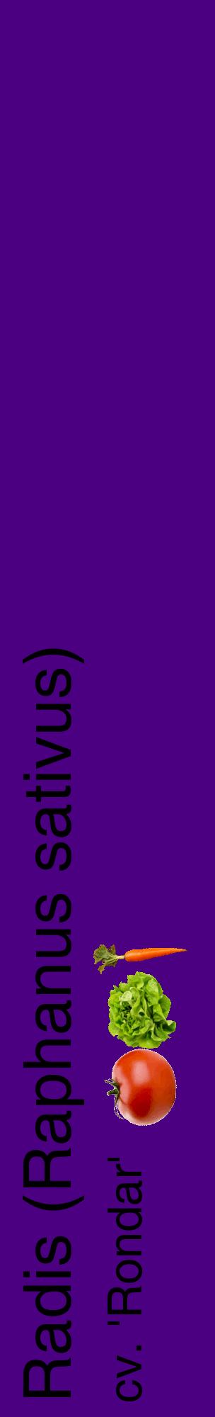 Étiquette de : Raphanus sativus cv. 'Rondar' - format c - style noire47_basiquehel avec comestibilité simplifiée