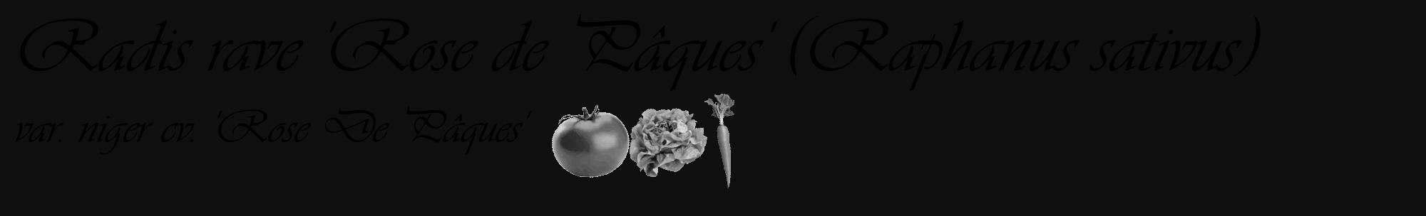 Étiquette de : Raphanus sativus var. niger cv. 'Rose De Pâques' - format c - style noire7basique_basique_basiqueviv avec comestibilité simplifiée