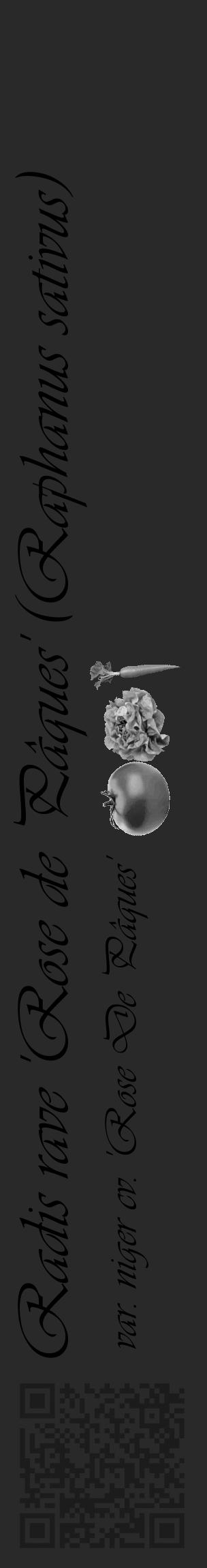 Étiquette de : Raphanus sativus var. niger cv. 'Rose De Pâques' - format c - style noire34_basique_basiqueviv avec qrcode et comestibilité simplifiée - position verticale
