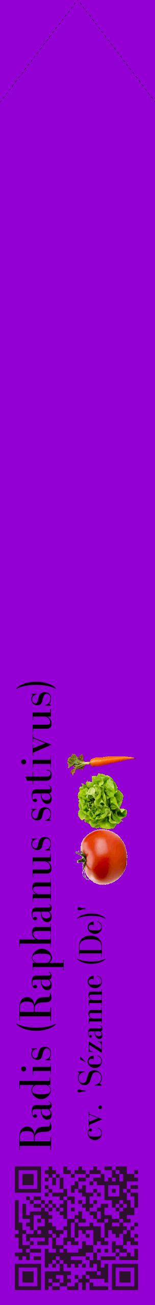 Étiquette de : Raphanus sativus cv. 'Sézanne (De)' - format c - style noire48_simplebod avec qrcode et comestibilité simplifiée