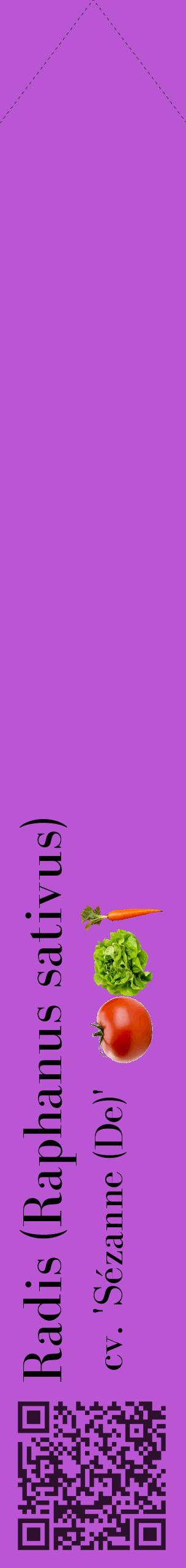 Étiquette de : Raphanus sativus cv. 'Sézanne (De)' - format c - style noire50_simplebod avec qrcode et comestibilité simplifiée