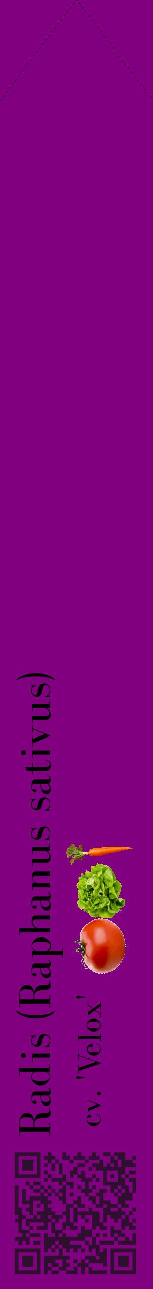 Étiquette de : Raphanus sativus cv. 'Velox' - format c - style noire46_simplebod avec qrcode et comestibilité simplifiée