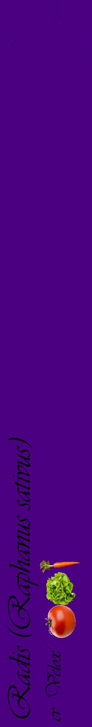 Étiquette de : Raphanus sativus cv. 'Velox' - format c - style noire47_simpleviv avec comestibilité simplifiée