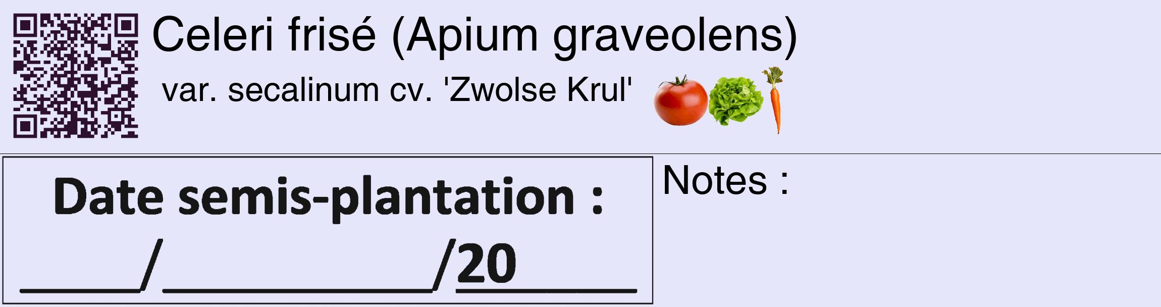 Étiquette de : Apium graveolens var. secalinum cv. 'Zwolse Krul' - format c - style noire55_basique_basiquehel avec qrcode et comestibilité simplifiée