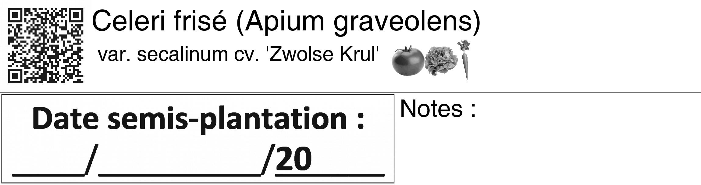 Étiquette de : Apium graveolens var. secalinum cv. 'Zwolse Krul' - format c - style noire60_basiquegrrvhel avec qrcode et comestibilité simplifiée