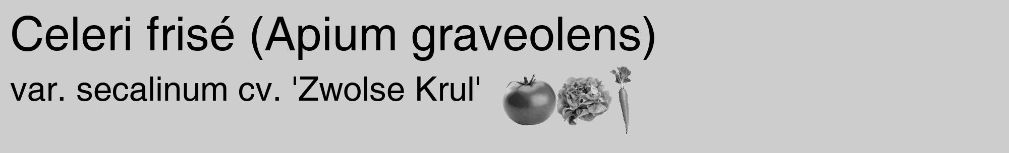 Étiquette de : Apium graveolens var. secalinum cv. 'Zwolse Krul' - format c - style noire41_basique_basiquehel avec comestibilité simplifiée