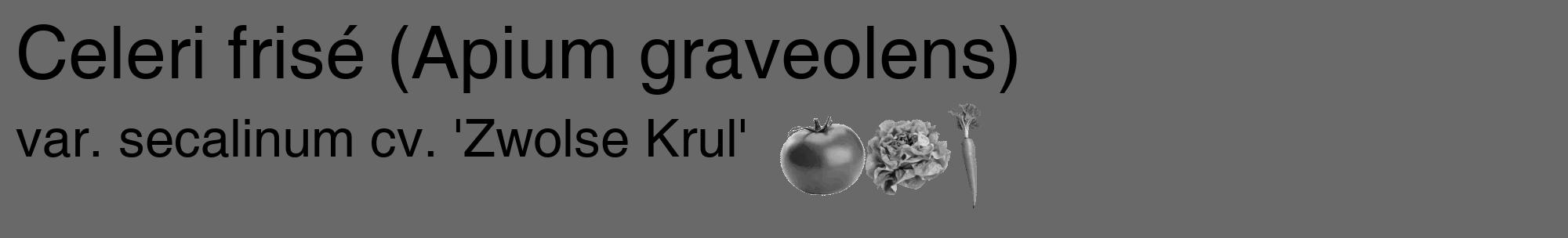 Étiquette de : Apium graveolens var. secalinum cv. 'Zwolse Krul' - format c - style noire51_basique_basiquehel avec comestibilité simplifiée