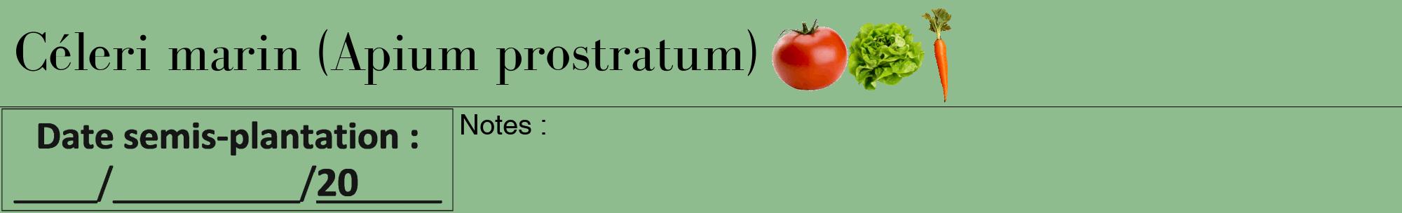 Étiquette de : Apium prostratum - format a - style noire13bod avec comestibilité simplifiée