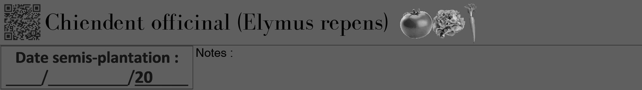 Étiquette de : Elymus repens - format a - style noire10bod avec qrcode et comestibilité simplifiée