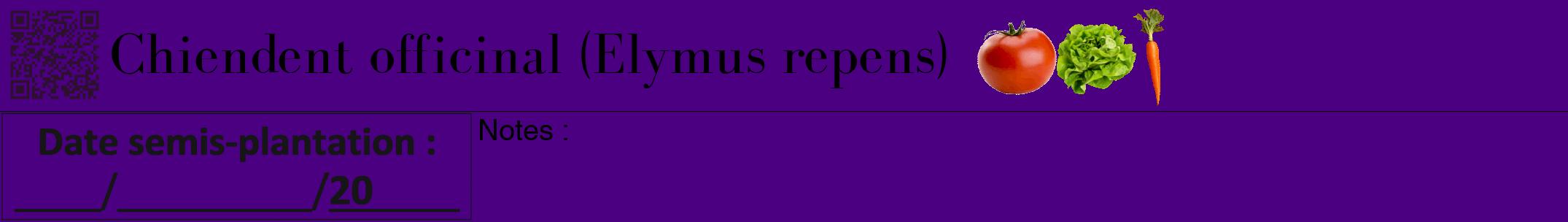 Étiquette de : Elymus repens - format a - style noire47bod avec qrcode et comestibilité simplifiée
