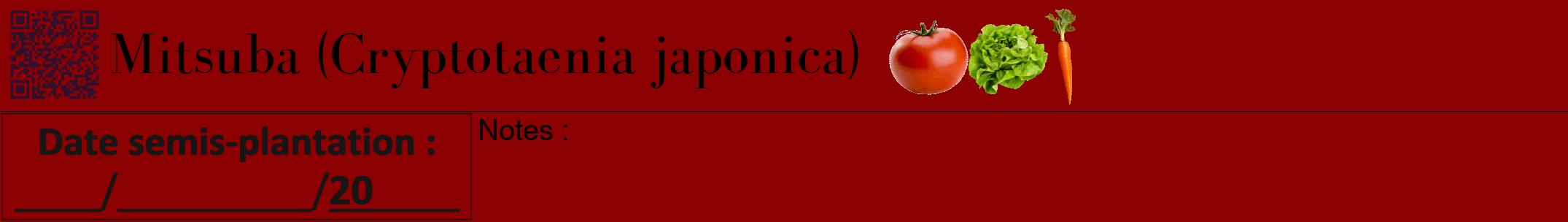 Étiquette de : Cryptotaenia japonica - format a - style noire34bod avec qrcode et comestibilité simplifiée