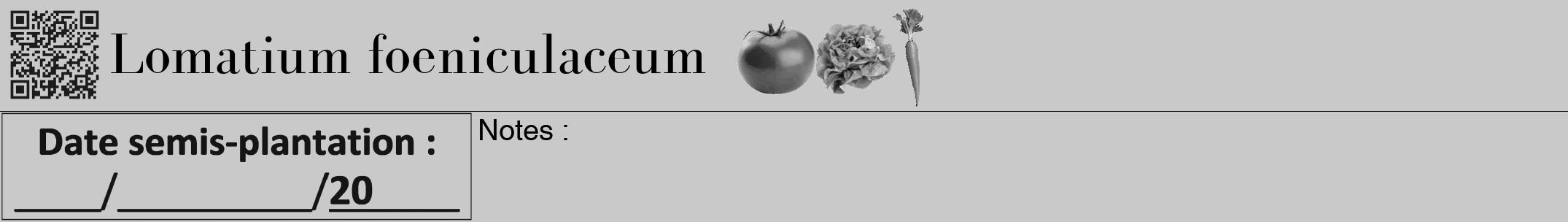 Étiquette de : Lomatium foeniculaceum - format a - style noire54bod avec qrcode et comestibilité simplifiée