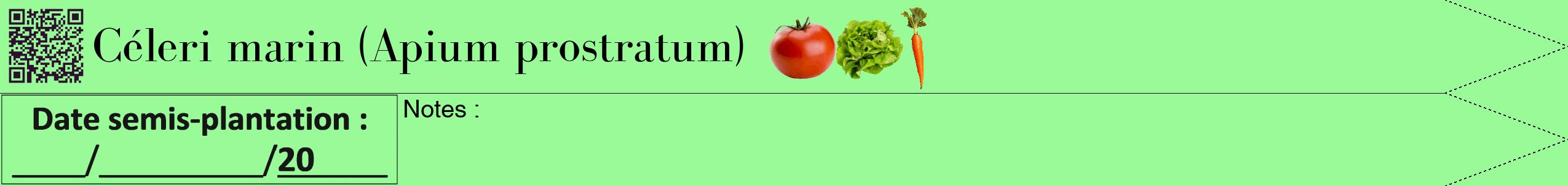 Étiquette de : Apium prostratum - format b - style noire14bod avec qrcode et comestibilité simplifiée