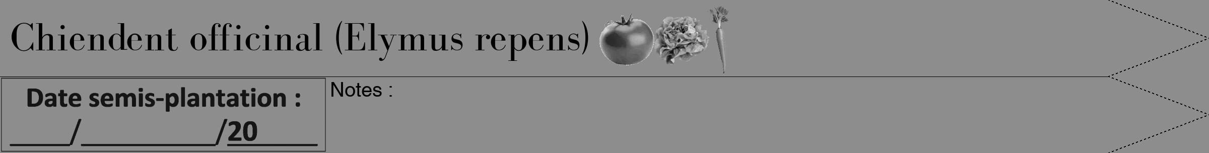 Étiquette de : Elymus repens - format b - style noire2simplebod avec comestibilité simplifiée