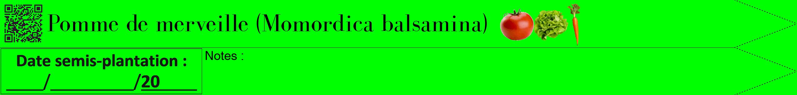 Étiquette de : Momordica balsamina - format b - style noire16bod avec qrcode et comestibilité simplifiée