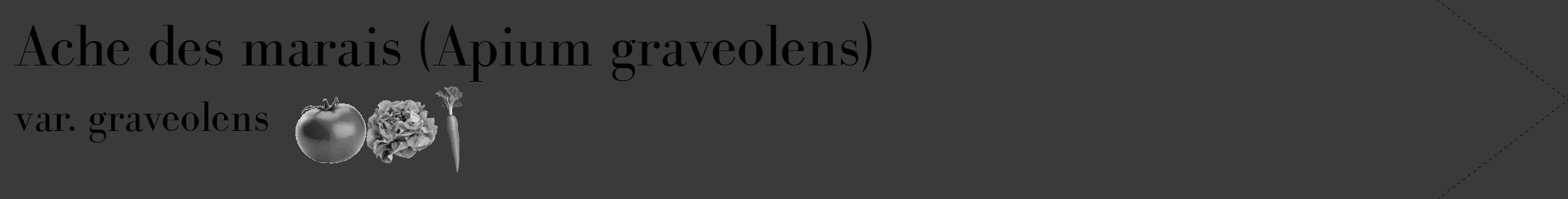 Étiquette de : Apium graveolens var. graveolens - format c - style noire8_simple_simplebod avec comestibilité simplifiée
