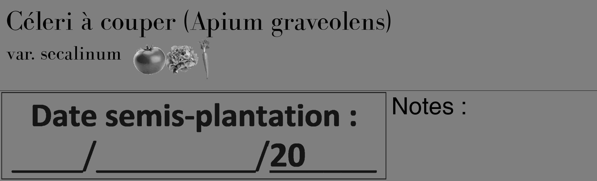 Étiquette de : Apium graveolens var. secalinum - format c - style noire57basique_basique_basiquebod avec comestibilité simplifiée