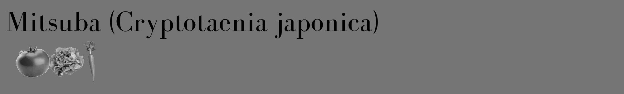 Étiquette de : Cryptotaenia japonica - format c - style noire5_basique_basiquebod avec comestibilité simplifiée