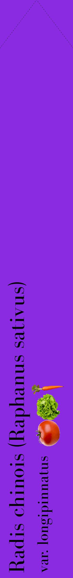 Étiquette de : Raphanus sativus var. longipinnatus - format c - style noire49_simplebod avec comestibilité simplifiée