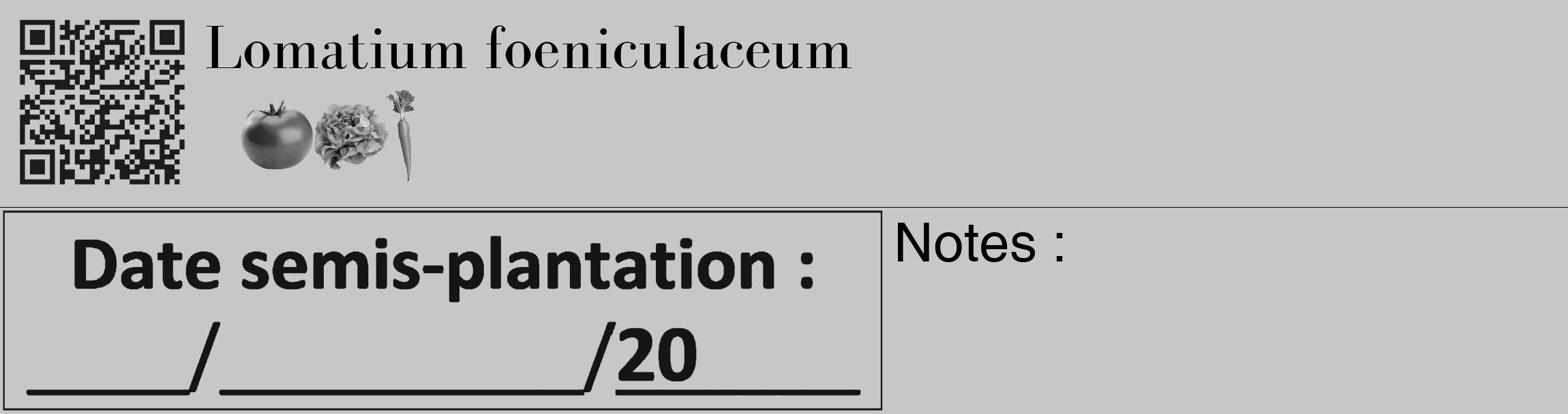Étiquette de : Lomatium foeniculaceum - format c - style noire15_basique_basiquebod avec qrcode et comestibilité simplifiée