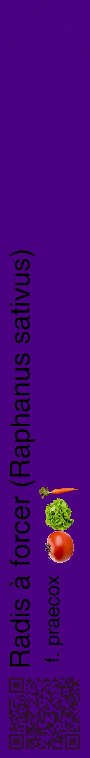 Étiquette de : Raphanus sativus f. praecox - format c - style noire47_simplehel avec qrcode et comestibilité simplifiée