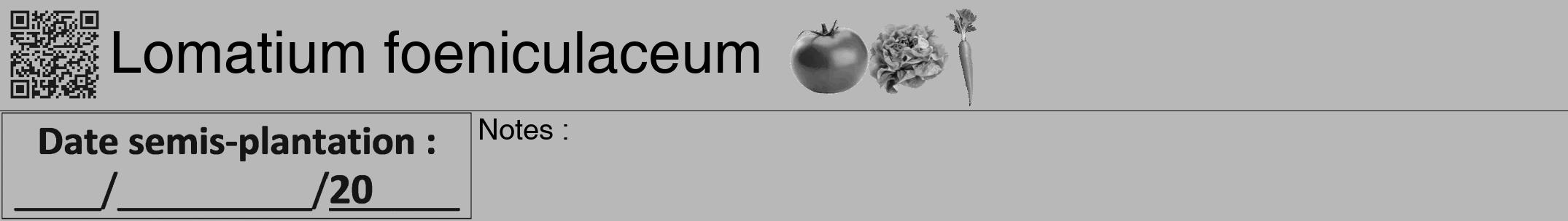 Étiquette de : Lomatium foeniculaceum - format a - style noire39hel avec qrcode et comestibilité simplifiée