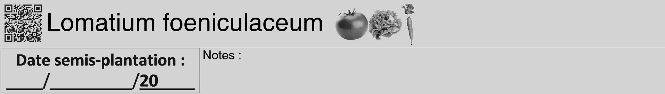 Étiquette de : Lomatium foeniculaceum - format a - style noire56hel avec qrcode et comestibilité simplifiée