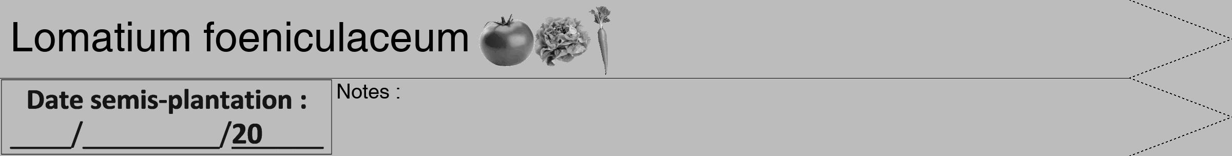 Étiquette de : Lomatium foeniculaceum - format b - style noire1hel avec comestibilité simplifiée